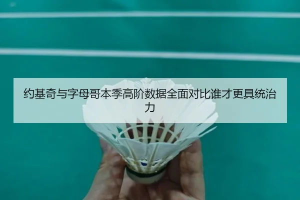 约基奇与字母哥本季高阶数据全面对比谁才更具统治力